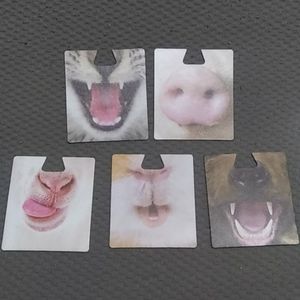 5 reversible funny coasters